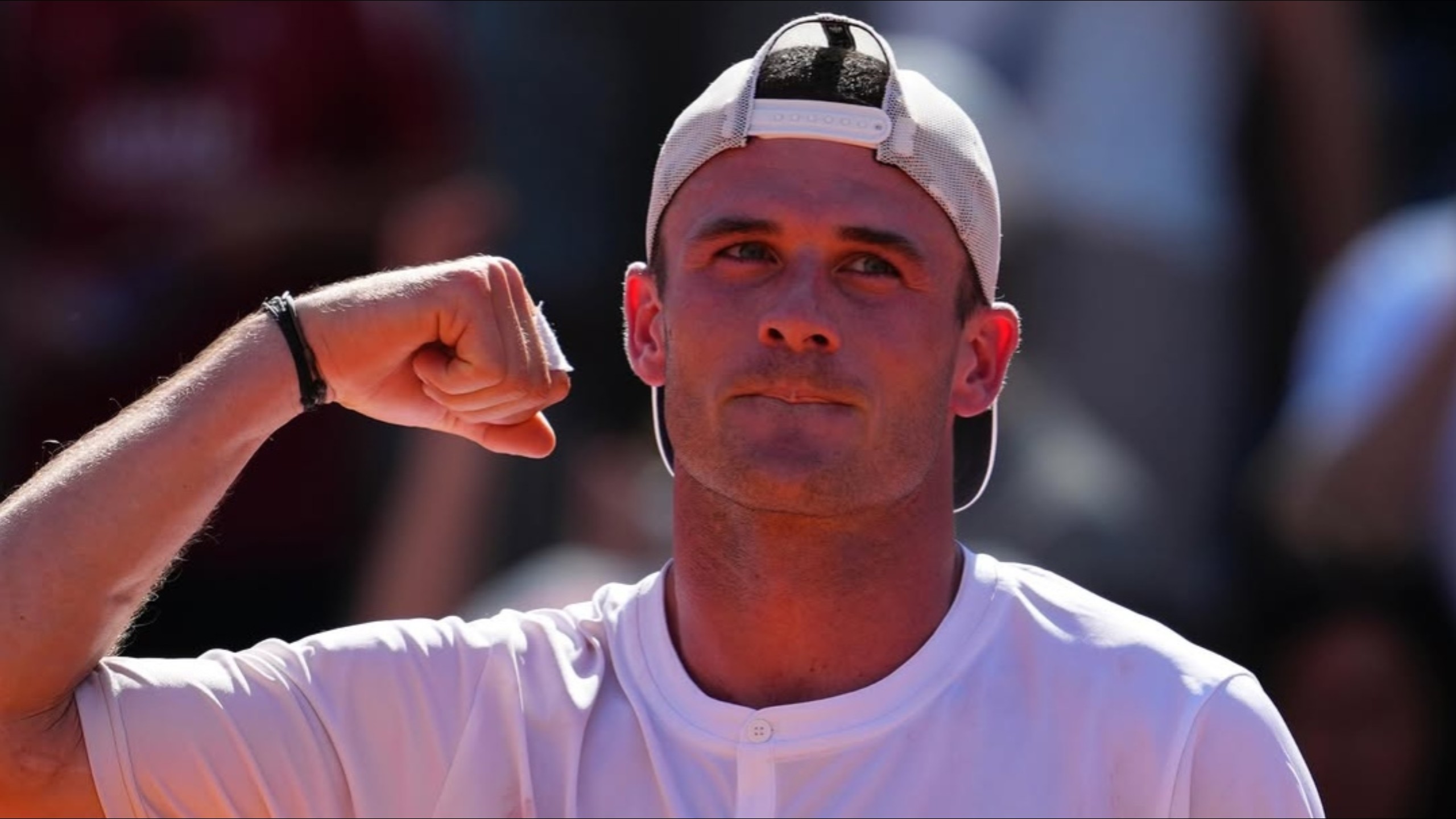 险张的概率 险张的概率